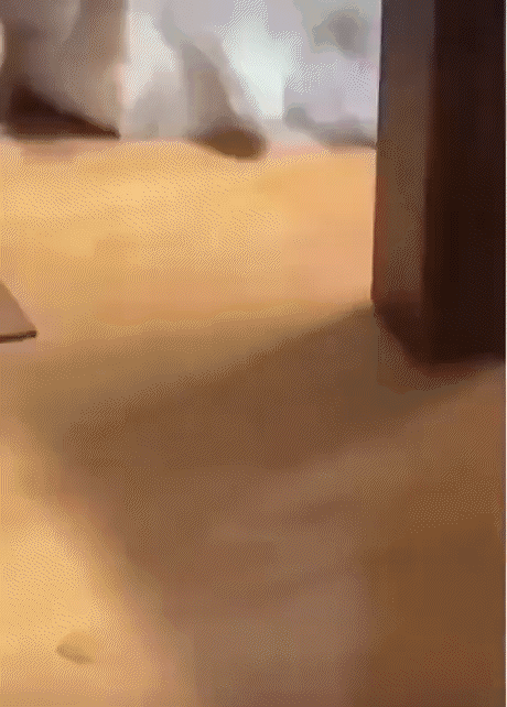 CatCensor