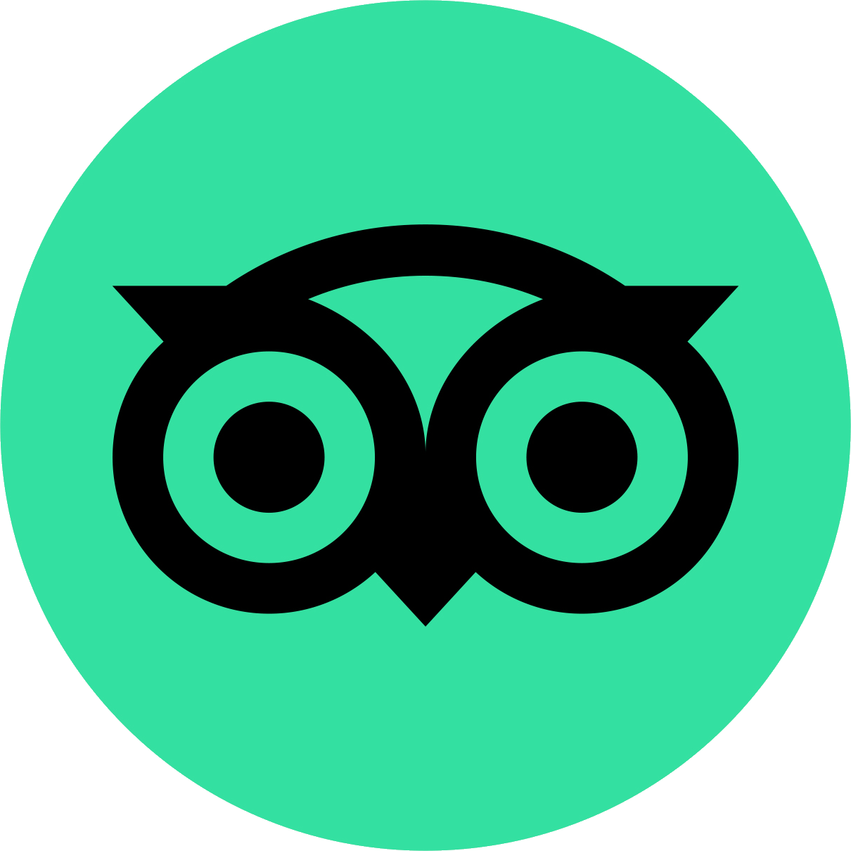 TripAdvisor Logo